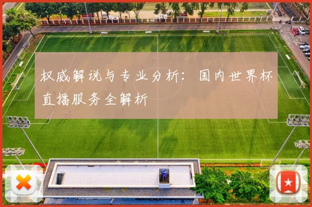权威解说与专业分析：国内世界杯直播服务全解析