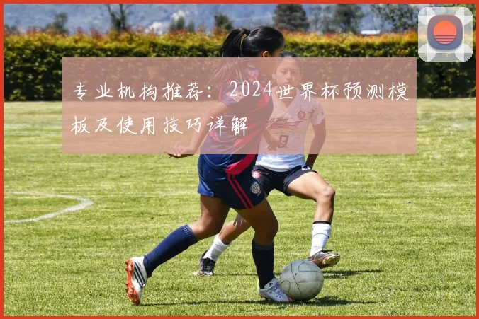 专业机构推荐：2024世界杯预测模板及使用技巧详解