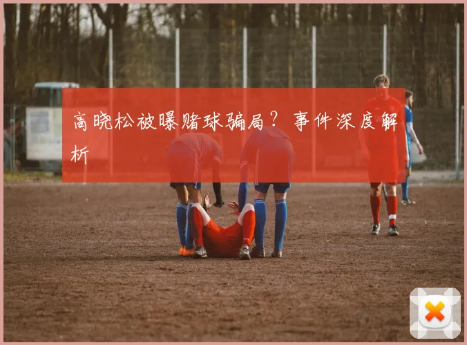 高晓松被曝赌球骗局？事件深度解析