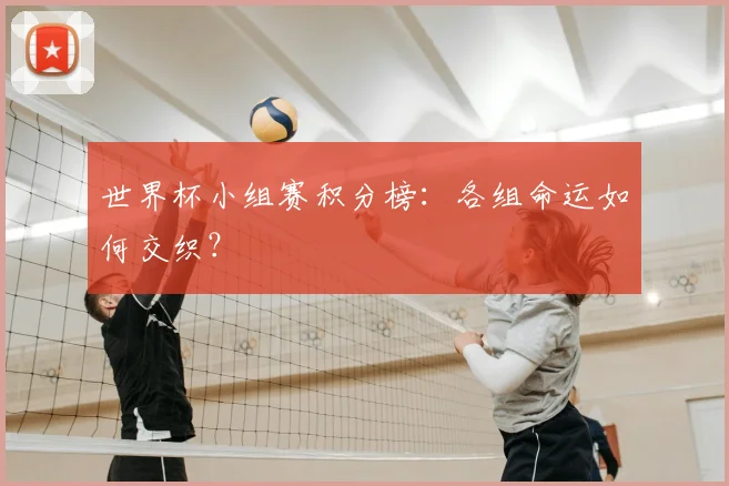 世界杯小组赛积分榜：各组命运如何交织？