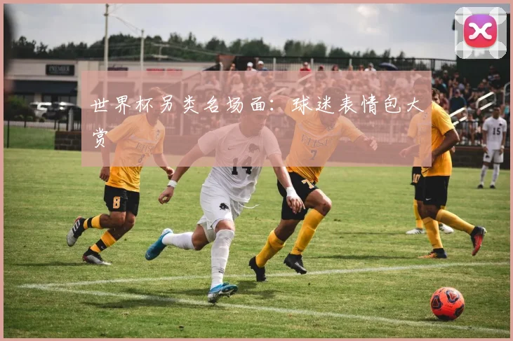 世界杯另类名场面：球迷表情包大赏