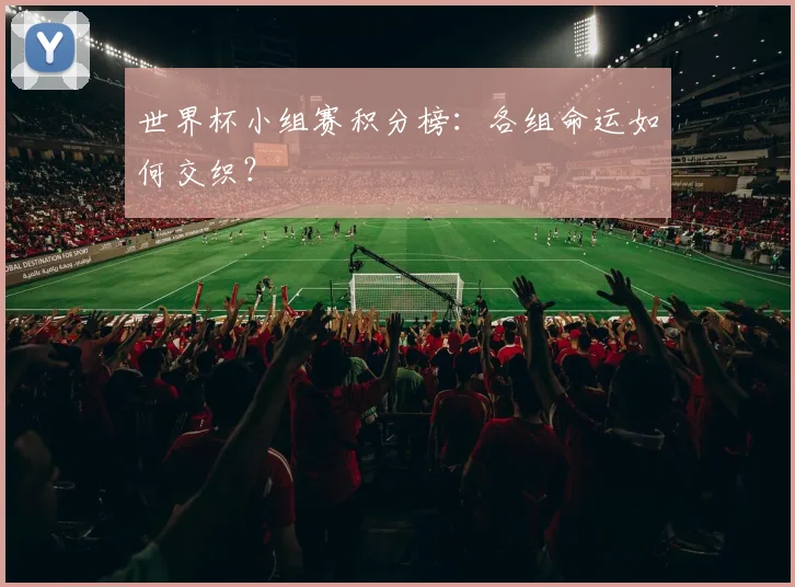 世界杯小组赛积分榜:各组命运如何交织?