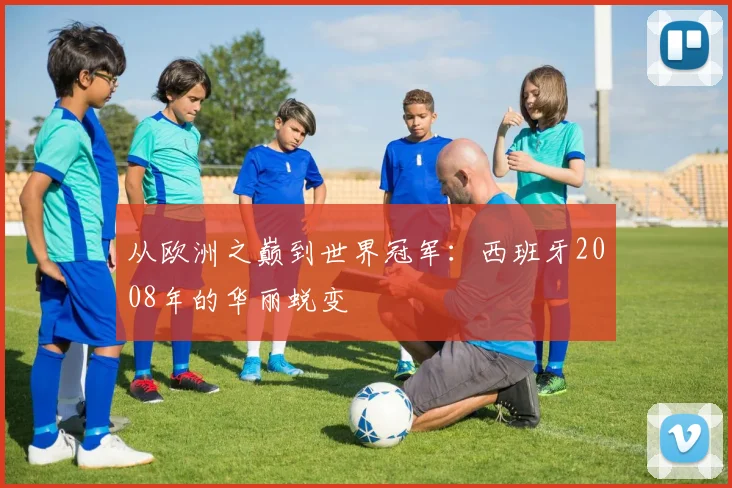 从欧洲之巅到世界冠军：西班牙2008年的华丽蜕变