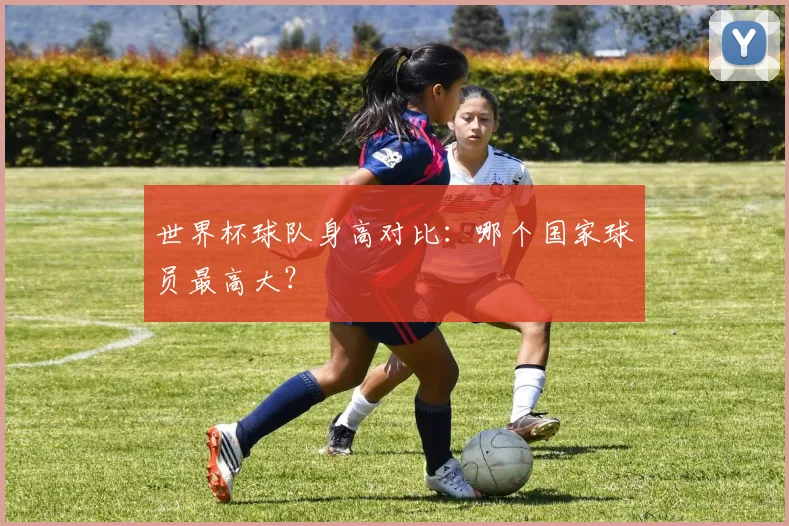 世界杯球队身高对比:哪个国家球员最高大?