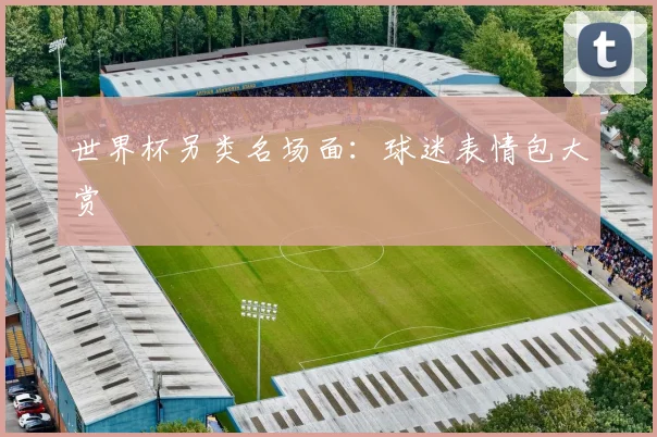 世界杯另类名场面:球迷表情包大赏